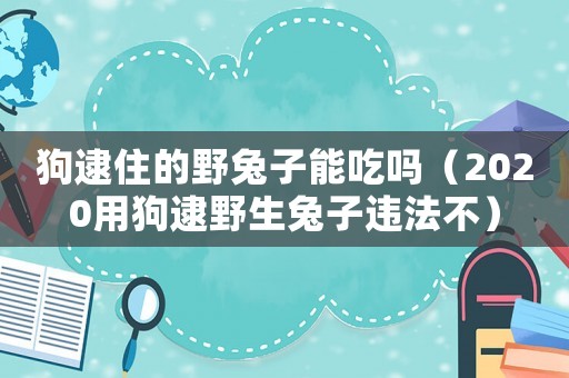 狗逮住的野兔子能吃嗎（2020用狗逮野生兔子違法不）