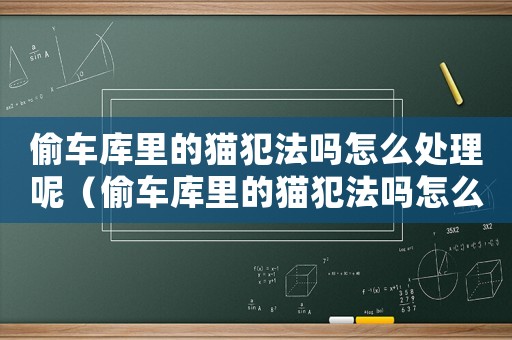 偷車庫里的貓犯法嗎怎么處理呢（偷車庫里的貓犯法嗎怎么處理）