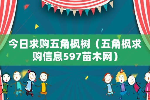 今日求購五角楓樹（五角楓求購信息597苗木網）