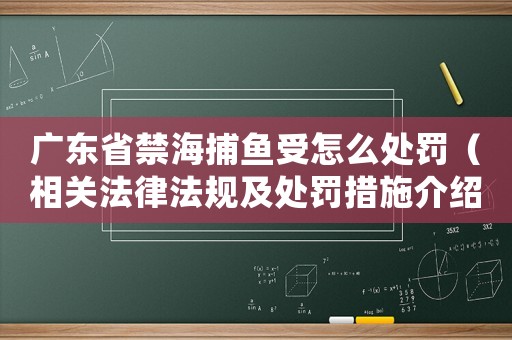 廣東省禁海捕魚受怎么處罰（相關法律法規及處罰措施介紹）