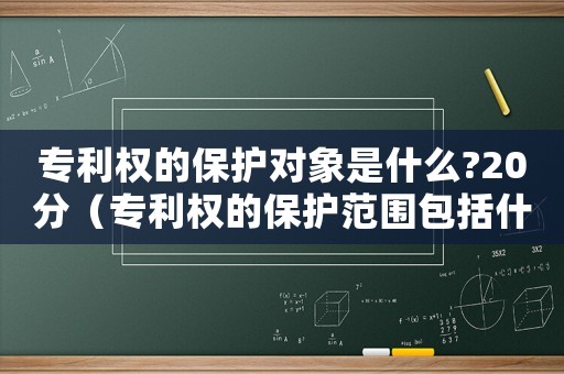 專利權(quán)的保護(hù)對(duì)象是什么?20分（專利權(quán)的保護(hù)范圍包括什么和什么）