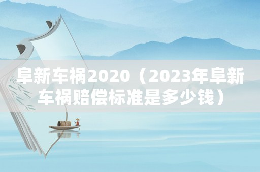阜新車禍2020（2023年阜新車禍賠償標準是多少錢）