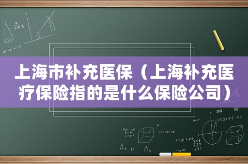 上海市補充醫保（上海補充醫療保險指的是什么保險公司）