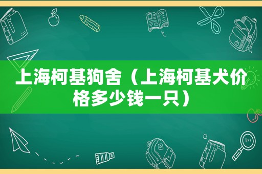 上海柯基狗舍（上海柯基犬價格多少錢一只）