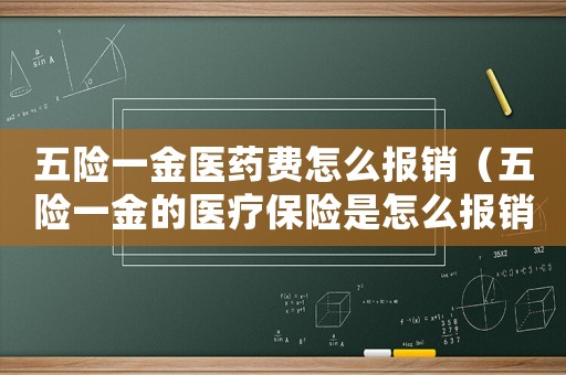 五險一金醫藥費怎么報銷（五險一金的醫療保險是怎么報銷的）