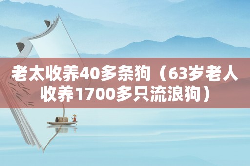 老太收養40多條狗（63歲老人收養1700多只流浪狗）