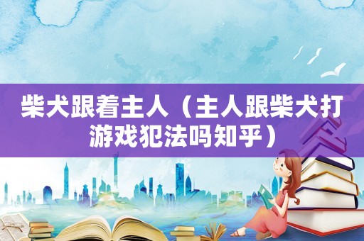 柴犬跟著主人（主人跟柴犬打游戲犯法嗎知乎）