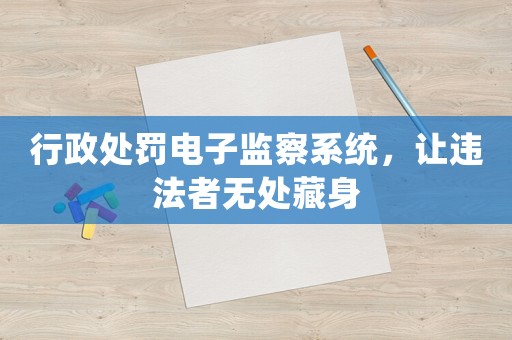 行政處罰電子監察系統，讓違法者無處藏身