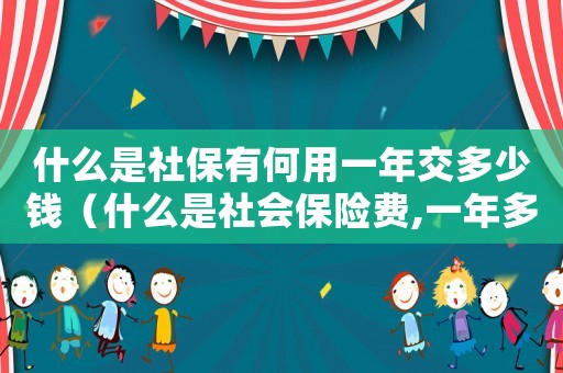 什么是社保有何用一年交多少錢（什么是社會保險費,一年多少錢?）