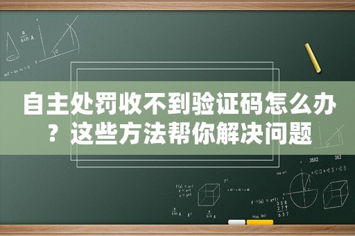 自主處罰收不到驗證碼怎么辦？這些方法幫你解決問題