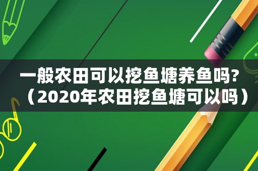 一般農(nóng)田可以挖魚塘養(yǎng)魚嗎?（2020年農(nóng)田挖魚塘可以嗎）
