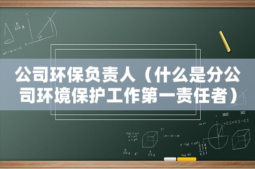 公司環保負責人（什么是分公司環境保護工作第一責任者）