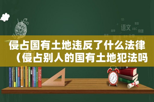 侵占國有土地違反了什么法律（侵占別人的國有土地犯法嗎判幾年）