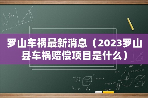 羅山車禍最新消息（2023羅山縣車禍賠償項目是什么）