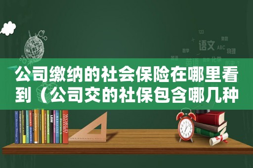 公司繳納的社會(huì)保險(xiǎn)在哪里看到（公司交的社保包含哪幾種保險(xiǎn)怎么查詢）