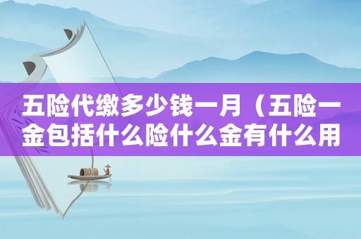 五險(xiǎn)代繳多少錢一月（五險(xiǎn)一金包括什么險(xiǎn)什么金有什么用）