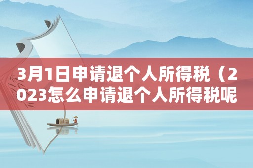 3月1日申請(qǐng)退個(gè)人所得稅（2023怎么申請(qǐng)退個(gè)人所得稅呢）