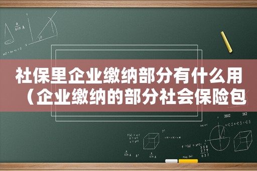 社保里企業(yè)繳納部分有什么用（企業(yè)繳納的部分社會保險包括哪些項目）