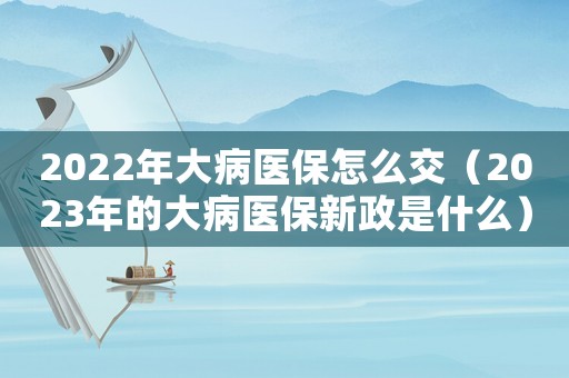 2022年大病醫(yī)保怎么交（2023年的大病醫(yī)保新政是什么）