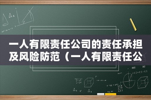 一人有限責任公司的責任承擔及風險防范（一人有限責任公司承擔的法律責任）