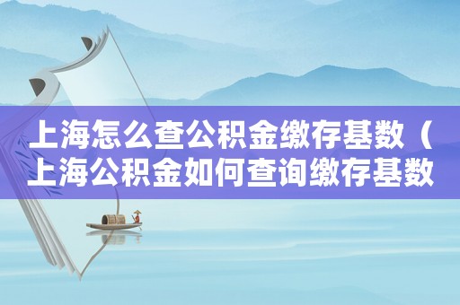 上海怎么查公積金繳存基數（上海公積金如何查詢繳存基數）