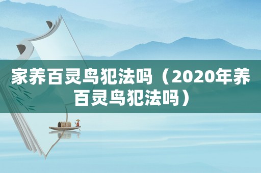 家養百靈鳥犯法嗎（2020年養百靈鳥犯法嗎）