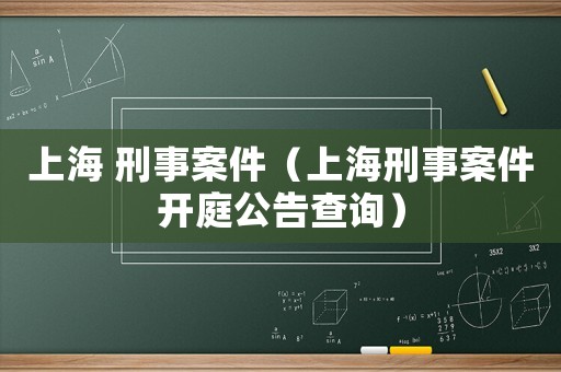 上海 刑事案件（上海刑事案件開庭公告查詢）