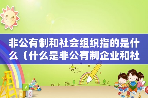 非公有制和社會組織指的是什么（什么是非公有制企業和社會組織）