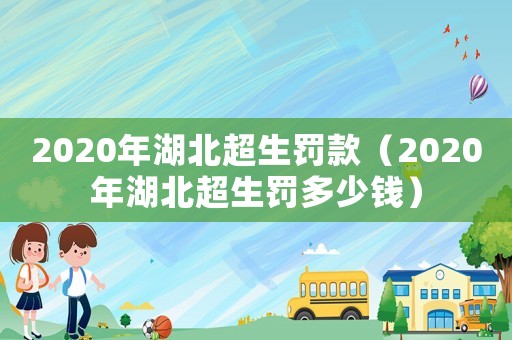 2020年湖北超生罰款（2020年湖北超生罰多少錢）