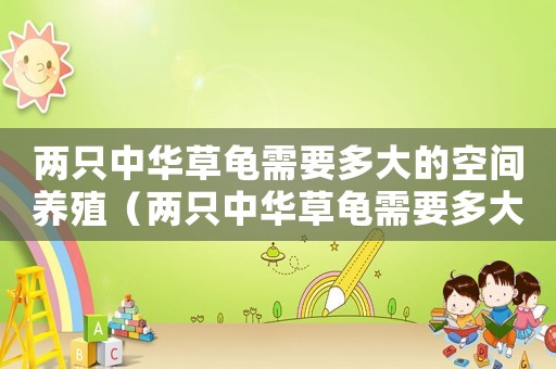 兩只中華草龜需要多大的空間養(yǎng)殖（兩只中華草龜需要多大的空間）
