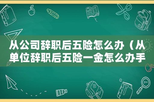 從公司辭職后五險怎么辦（從單位辭職后五險一金怎么辦手續(xù)）