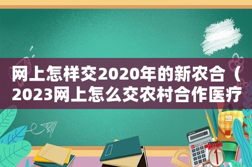 網上怎樣交2020年的新農合（2023網上怎么交農村合作醫療呢）