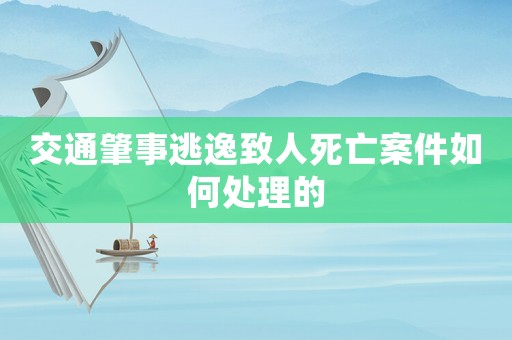交通肇事逃逸致人死亡案件如何處理的