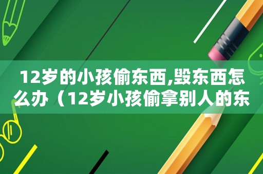 12歲的小孩偷東西,毀東西怎么辦（12歲小孩偷拿別人的東西怎么辦）