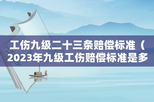 工傷九級二十三條賠償標準（2023年九級工傷賠償標準是多少錢）