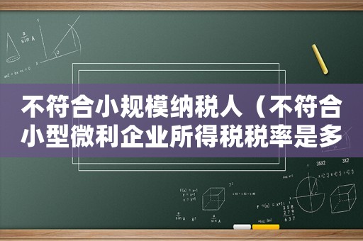 不符合小規模納稅人（不符合小型微利企業所得稅稅率是多少）