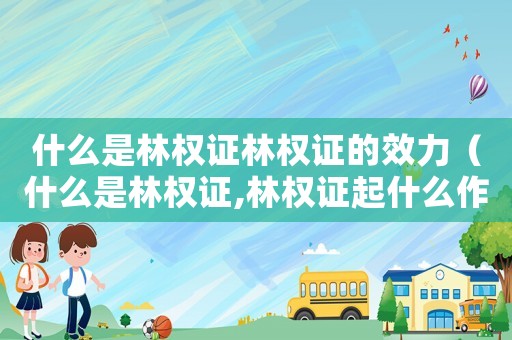 什么是林權證林權證的效力（什么是林權證,林權證起什么作用）
