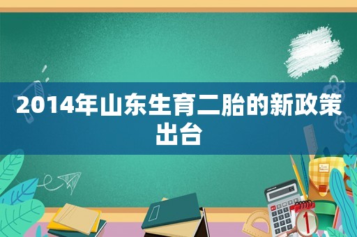 2014年山東生育二胎的新政策出臺