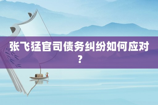張飛猛官司債務(wù)糾紛如何應(yīng)對？