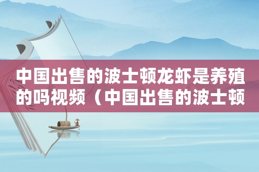 中國出售的波士頓龍蝦是養殖的嗎視頻（中國出售的波士頓龍蝦是養殖的嗎）