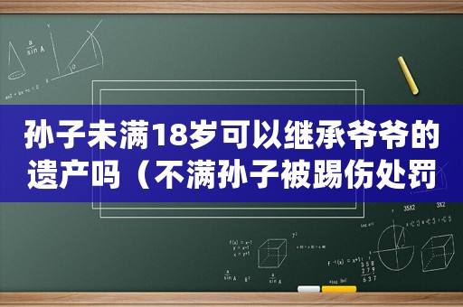 孫子未滿18歲可以繼承爺爺的遺產嗎（不滿孫子被踢傷處罰結果是什么呢）