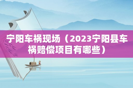 寧陽車禍現場（2023寧陽縣車禍賠償項目有哪些）
