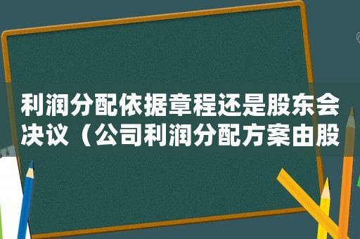 利潤分配依據章程還是股東會決議（公司利潤分配方案由股東會決議嗎）