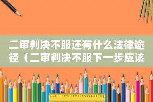 二審判決不服還有什么法律途徑（二審判決不服下一步應(yīng)該怎么辦民事）