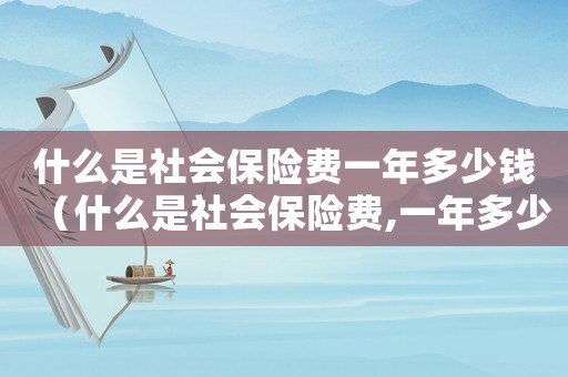 什么是社會保險費一年多少錢（什么是社會保險費,一年多少錢?）