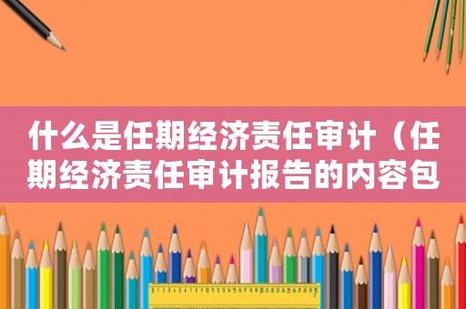 什么是任期經濟責任審計（任期經濟責任審計報告的內容包括）