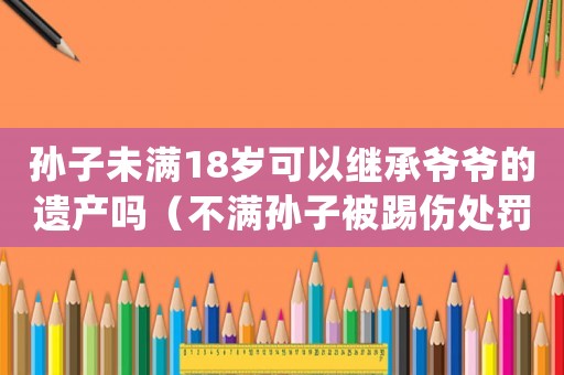 孫子未滿18歲可以繼承爺爺的遺產嗎（不滿孫子被踢傷處罰結果是什么樣的）