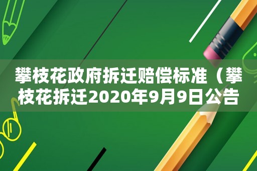 攀枝花政府拆遷賠償標準（攀枝花拆遷2020年9月9日公告）