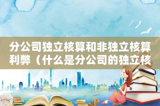 分公司獨立核算和非獨立核算利弊（什么是分公司的獨立核算和非獨立核算）