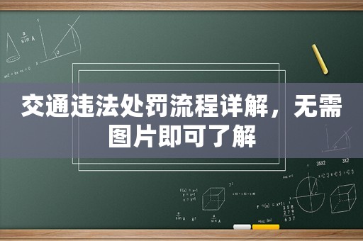 交通違法處罰流程詳解，無需圖片即可了解